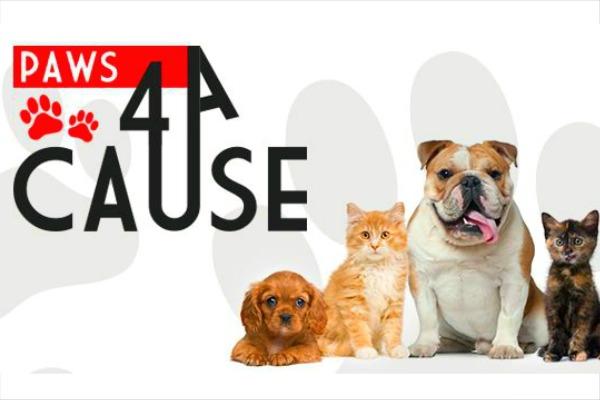 Charity Spotlight: Paws 4 A Cause - Notable Life